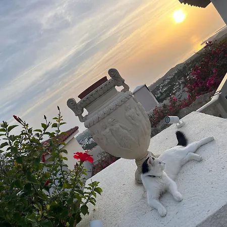 Vilă Eirini Kamares Luxury Sea View *