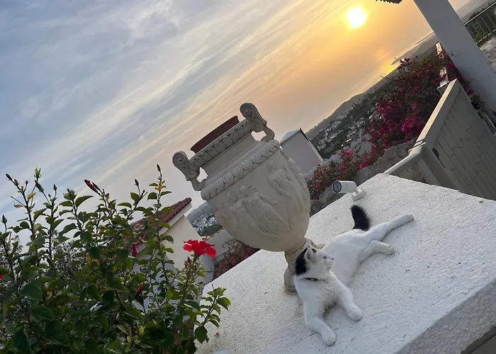 Vila Eirini Kamares Luxury Sea View *